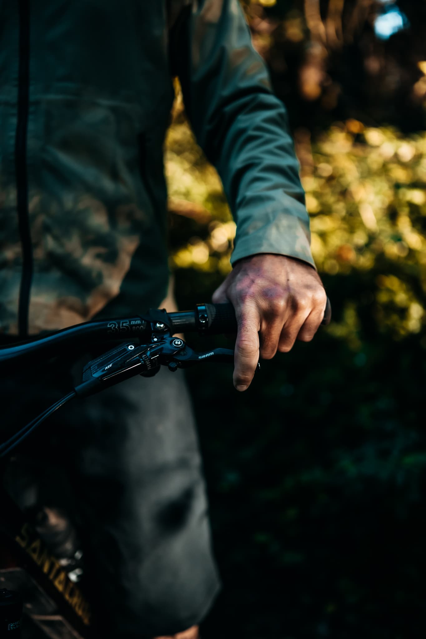 A hand on the brake lever in the forest